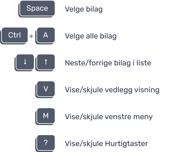 oversiktoverhurtigtasteribilagsmottaket.png