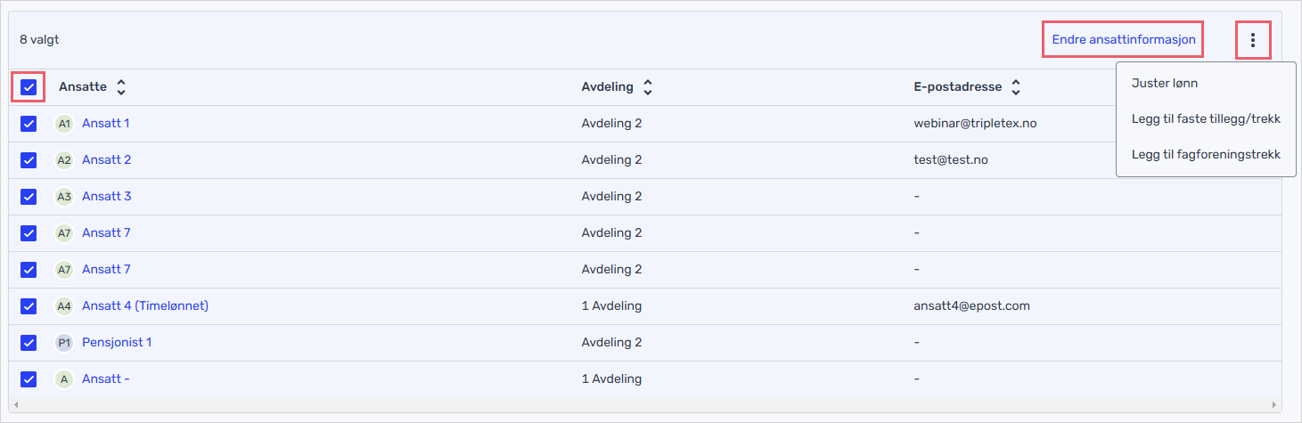 Masseendre ansattoversikten.png