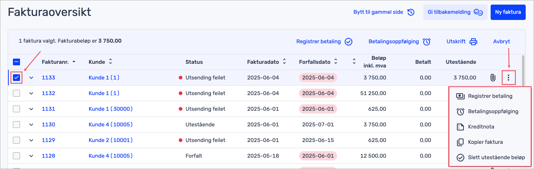 flere valg på faktura.png
