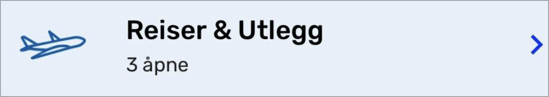 Reiserogutleggapp 1.png