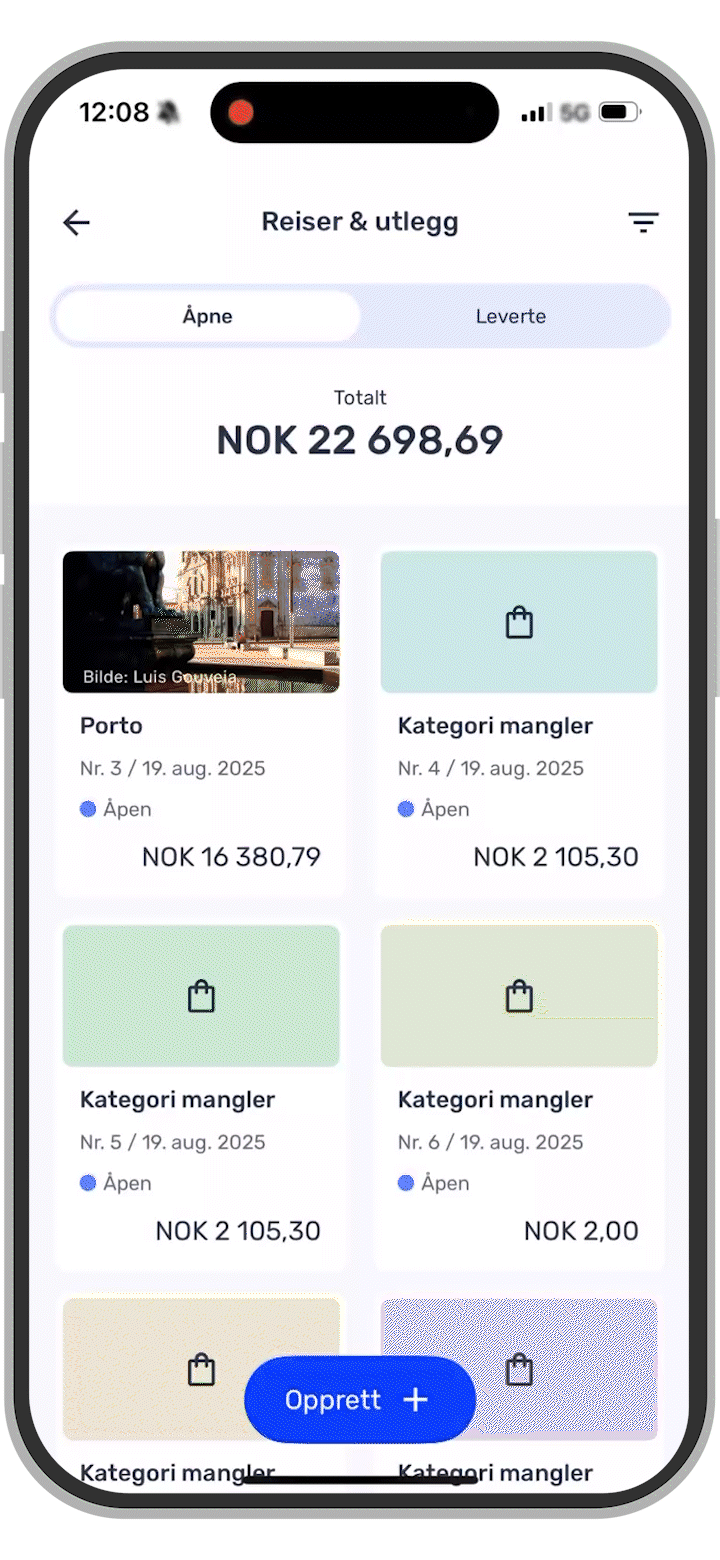 Utlegg_i_app_2 (1).gif